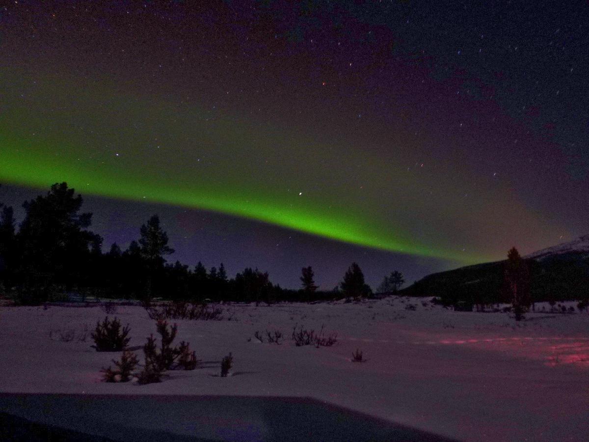 Chalet Sjodalen Hyttetun Og *